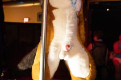 R5_05619