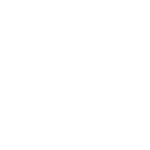 SHINY DOG PRODUCTIONS